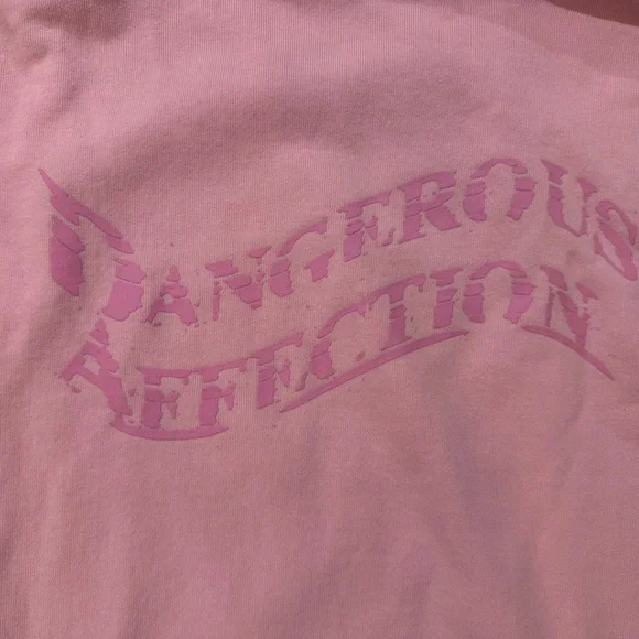 Revolve x Boys Lie Dangerous Affection Hoodie Dress Baby Pink OS - Picture 5 of 7
